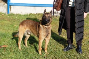 ????????????????????????????????????