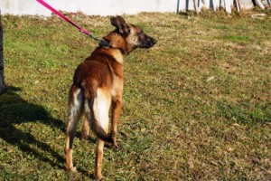 ????????????????????????????????????