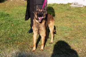 ????????????????????????????????????