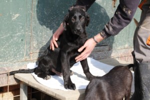 ????????????????????????????????????