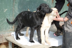 ????????????????????????????????????