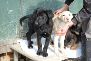 ????????????????????????????????????