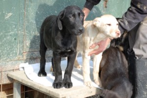 ????????????????????????????????????