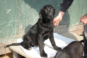 ????????????????????????????????????