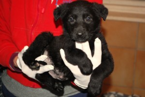 ????????????????????????????????????