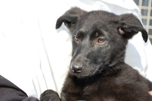 ????????????????????????????????????