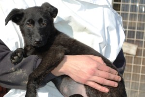 ????????????????????????????????????