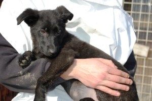 ????????????????????????????????????