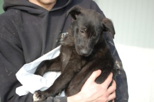 ????????????????????????????????????