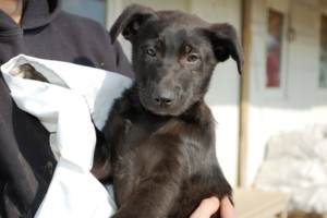 ????????????????????????????????????