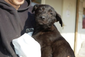 ????????????????????????????????????