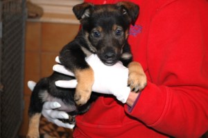 ????????????????????????????????????