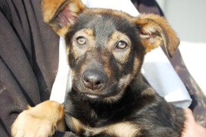 ????????????????????????????????????