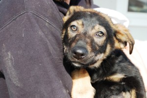 ????????????????????????????????????