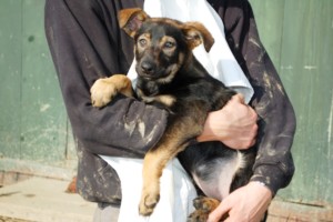 ????????????????????????????????????