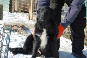 ????????????????????????????????????