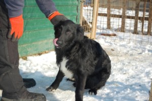 ????????????????????????????????????