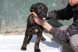 ????????????????????????????????????