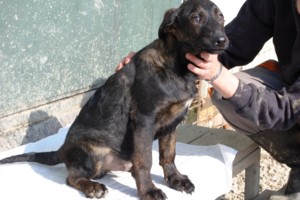 ????????????????????????????????????