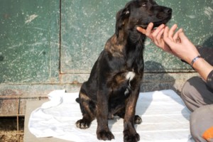 ????????????????????????????????????